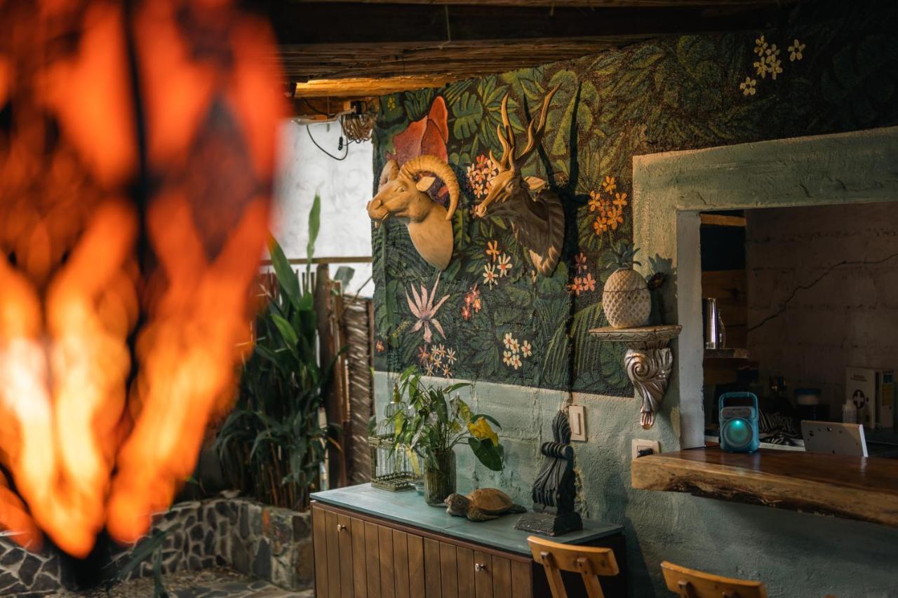 Ekaa Hotel Palomino Eksteriør bilde